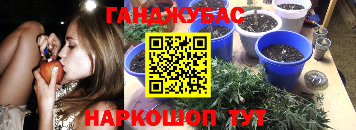 Шишки марихуана планчик Артёмовский